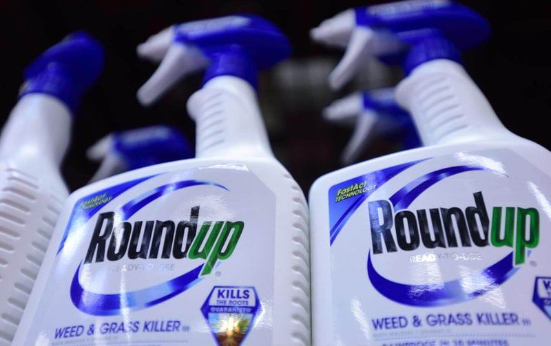 Monsanto Roundup pesticide ap img Monsanto Roundup pesticide ap img