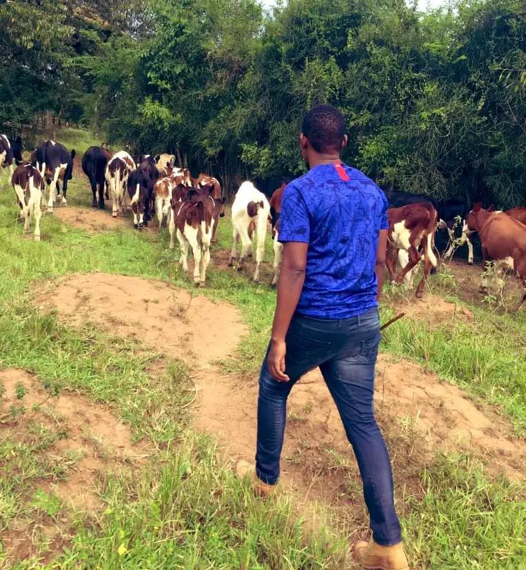baker the herder