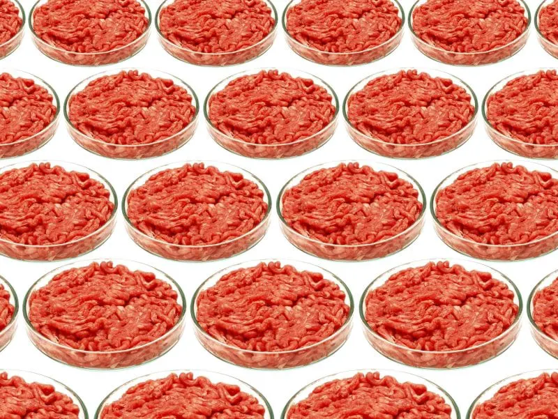 science labgrownmeat ss