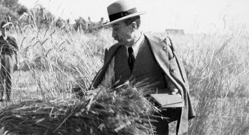 Nazareno Strampelli. Credit: Alchetron