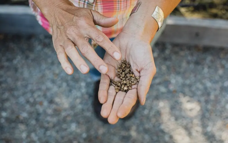 Credit: West Cliff Creative