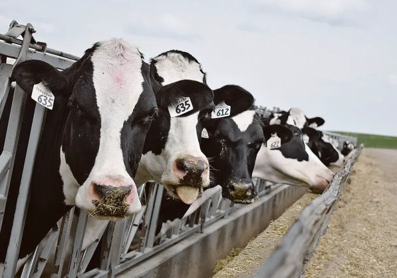 Credit: Western Producer