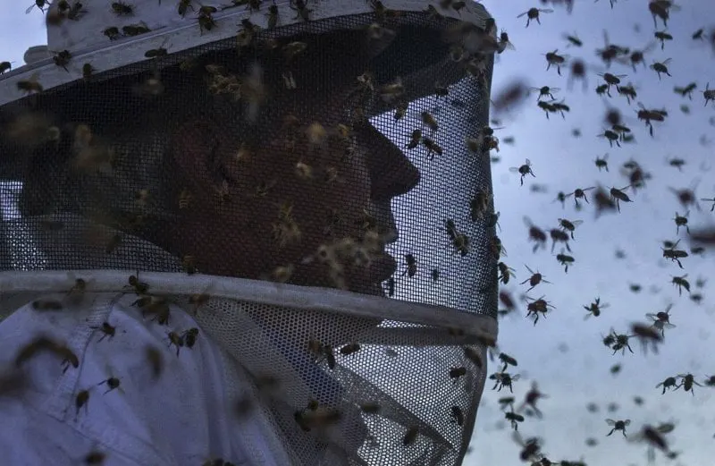 Credit: Reuters
