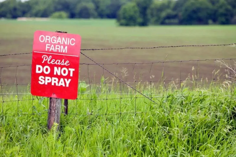 organic farm