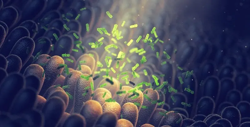 Credit: Rustem Ismagliov/Caltech
