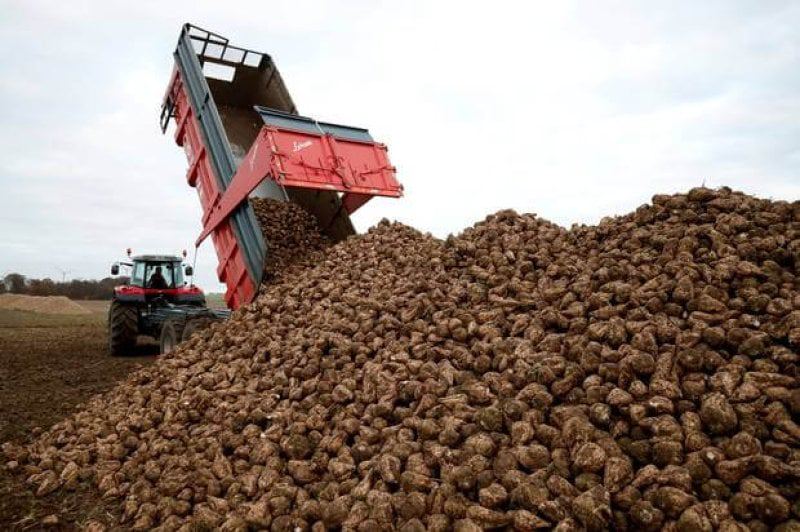 T Z RC B AE RTRMADP EUROPE SUGAR T Z RC B AE RTRMADP EUROPE SUGAR