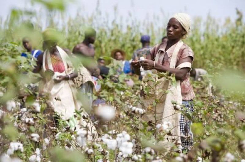 CmiA Welcomes Mozambique as Sixth Project Country e