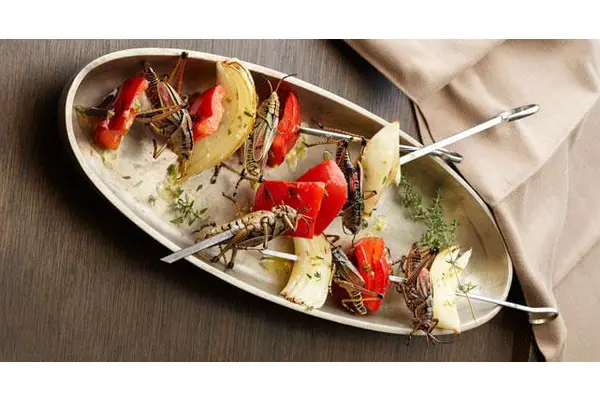 Bugs for dinner? EU officials find edible mealworms pose ‘no safety concerns’