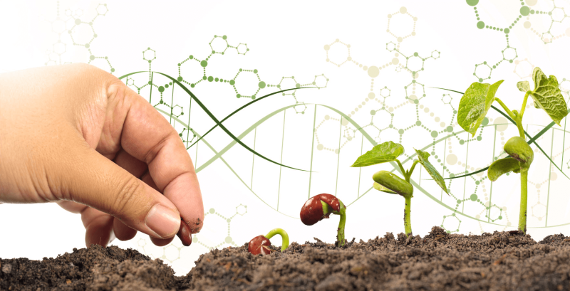 CRISPR-Technology-in-Agriculture