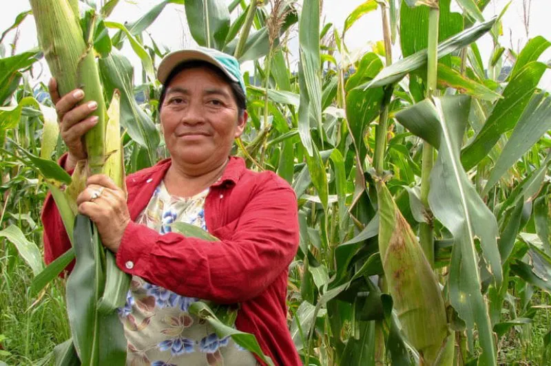 Indigenous Honduran farmer, researcher, plant breeder and community leader Isidora Garcia. Credit: Faris Ahmed/SeedChange