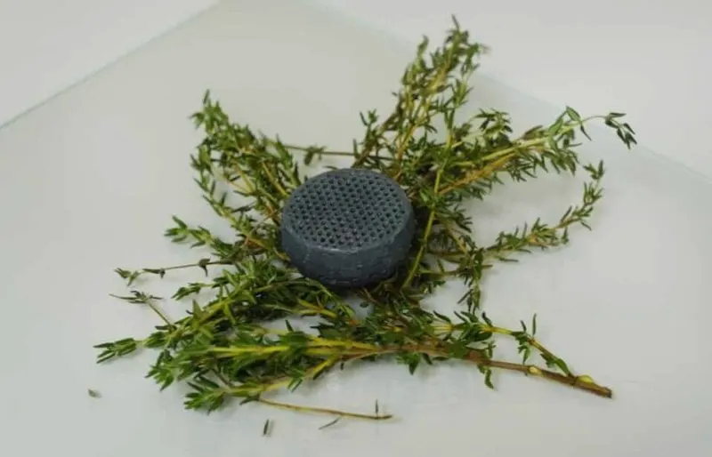 Novameat blue meat alternative. Credit: Novameat