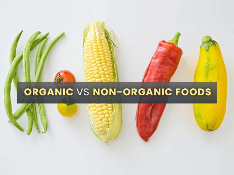 organicvsnon-organicfoodsknowtheirprosandconsandwhichoneisbetter-1618379880