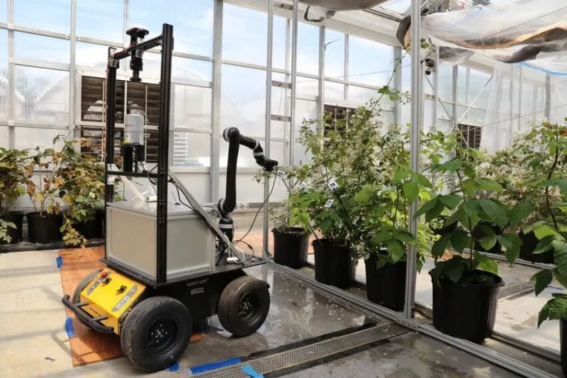 The 'Bramblebee' pollinator. Not exactly a swarm of grey-goo nano-drones. Credit: Gu et. al