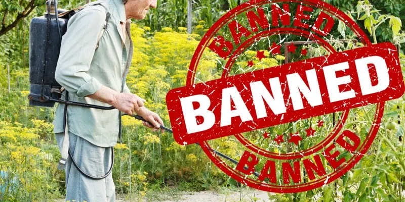 Glyphosate_Pesticide_Banned_1200x600
