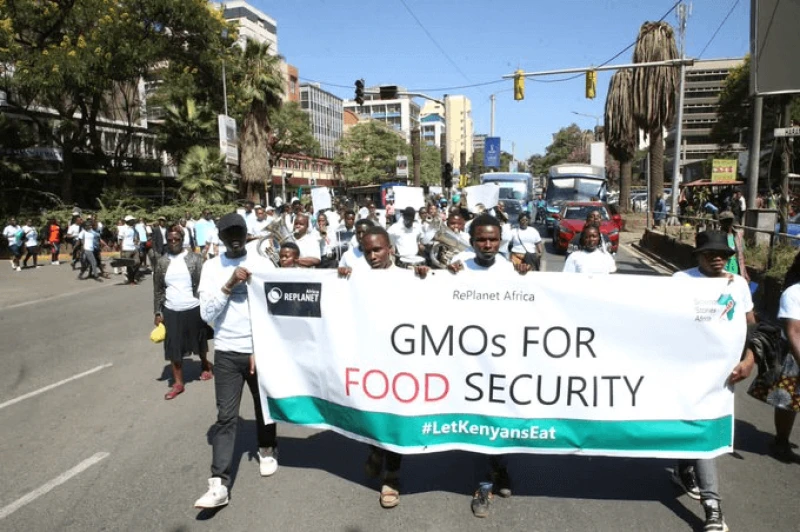 Pro-GMO campaigners call for the adoption of improved seed varieties to improve food security. [File]