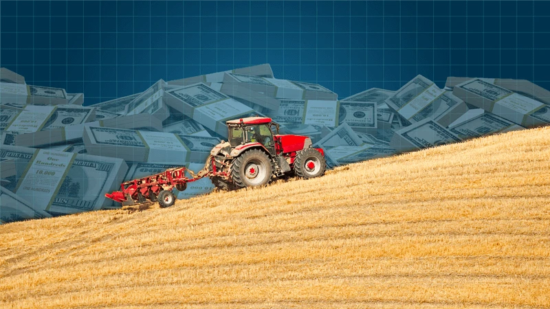 Fraudsters can get an organic certification, buy regular grain, and profit. Credit: Jake MacDonald via Minneapolis Fed