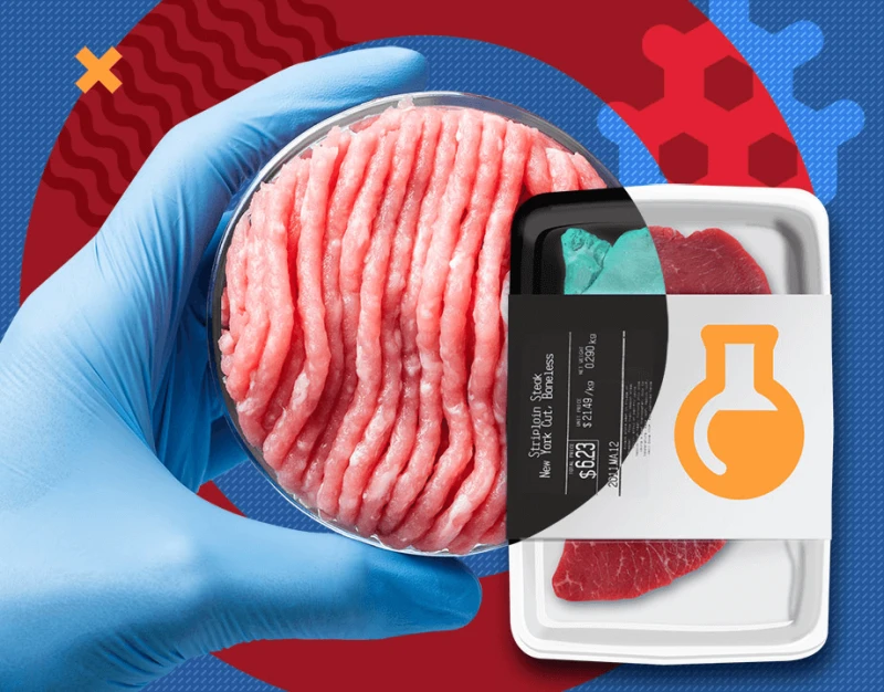 lab grown meat a big step forward hero lab grown meat a big step forward hero