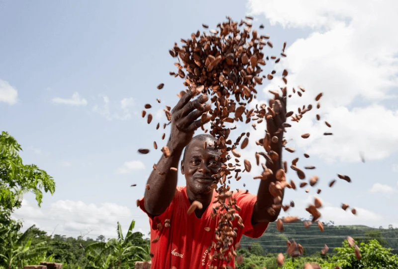 Biotechnology can help address food security and crop diversity in Ghana. Credit: King Baudouin Foundation (KBF) via CC-BY-NC-SA-2.0