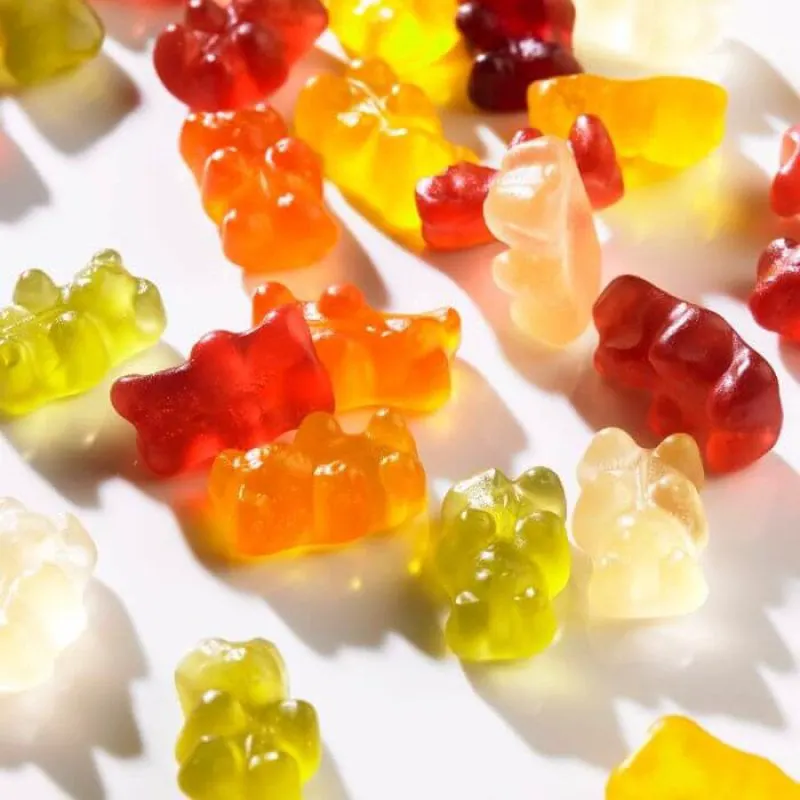 what is gelatin made of main x c