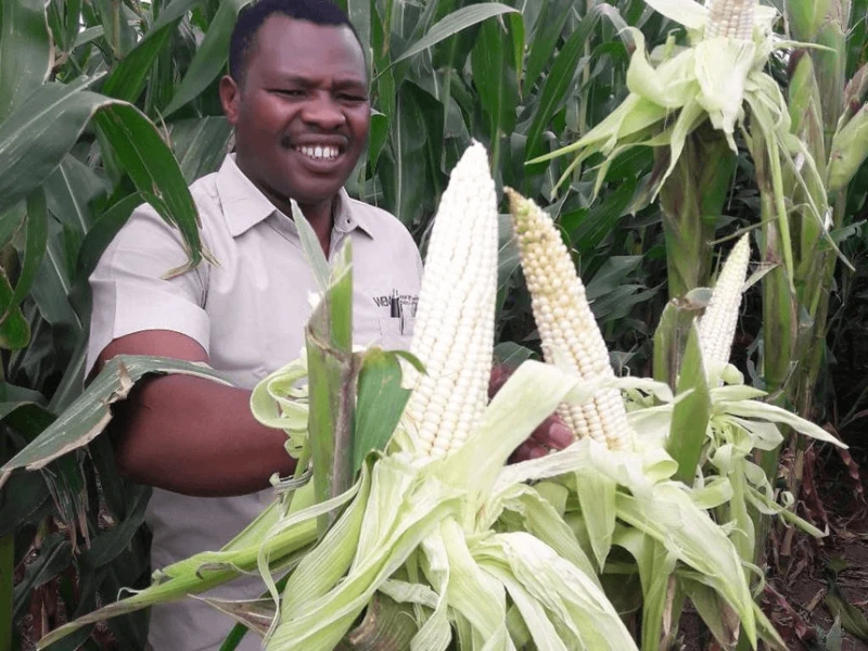 Credit: Farmbiz Africa