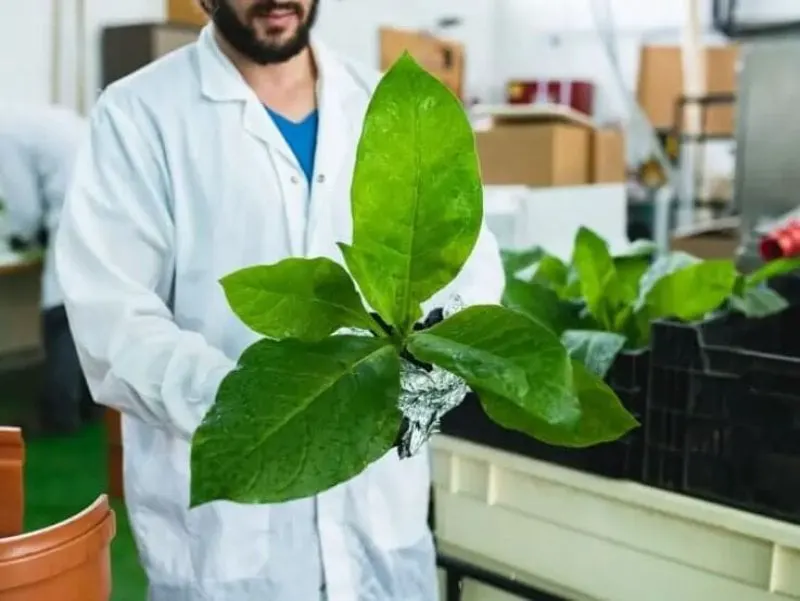 Animal-free growth factors? Credit: BioBetter