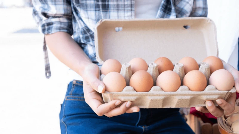 Holding-Doz-Eggs Credit: Egg Producers Federation of New Zealand