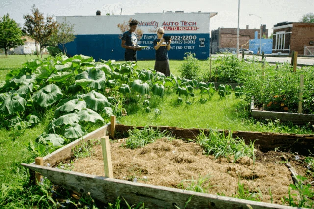 png urban farm