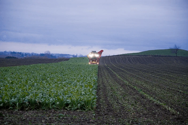 organic vs conventional organic vs conventional