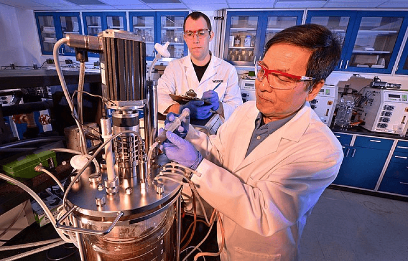 A bioreactor used to ferment ethanol from corncob waste could be reengineered to produce more complex materials. Credit: USDA via CC0-1.0
