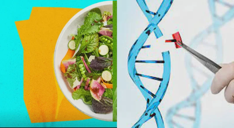 crispr-gmo-greens-2-1686931309578_1400x.png