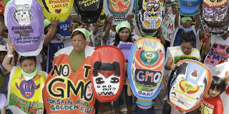 The anti-GM lobby has been successfuly in stifling development of biotechnology in the Phillippines. Credit: Greenpeace