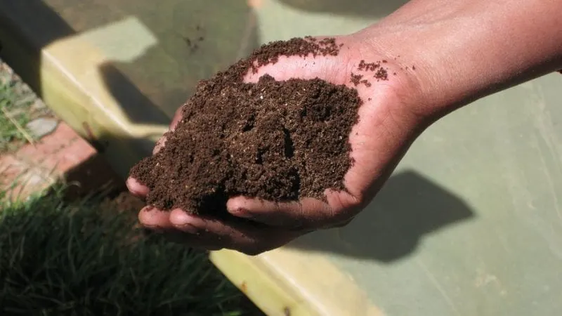 Human-Waste-Reuse-Solution-to-Growing-Sanitation-Problem