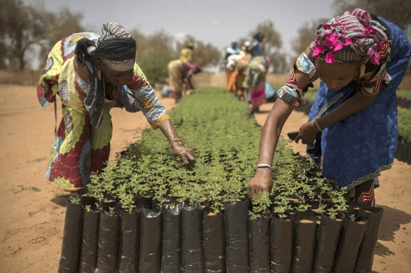 Credit: Benedicte Kurzen via FAO and NOOR