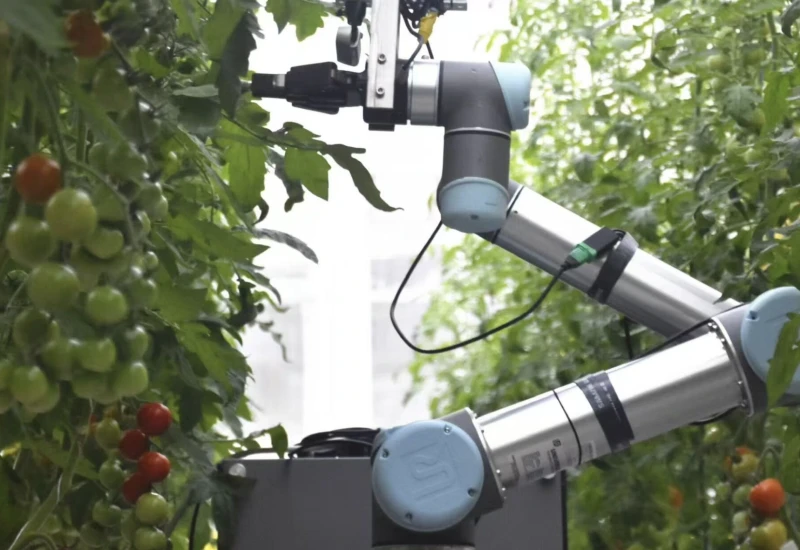 Robotic breeder GEAIR working in a greenhouse. Credit: IGDB