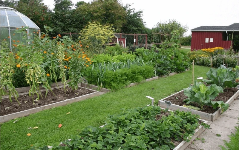 Small scale regenerative agriculture using crop rotation. Credit: Sten Porse CC-BY-SA-3.0