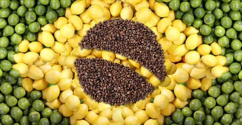 Coffee, limes and lemons laid out to represent the flag of Brazil. Credit: Shutterstock