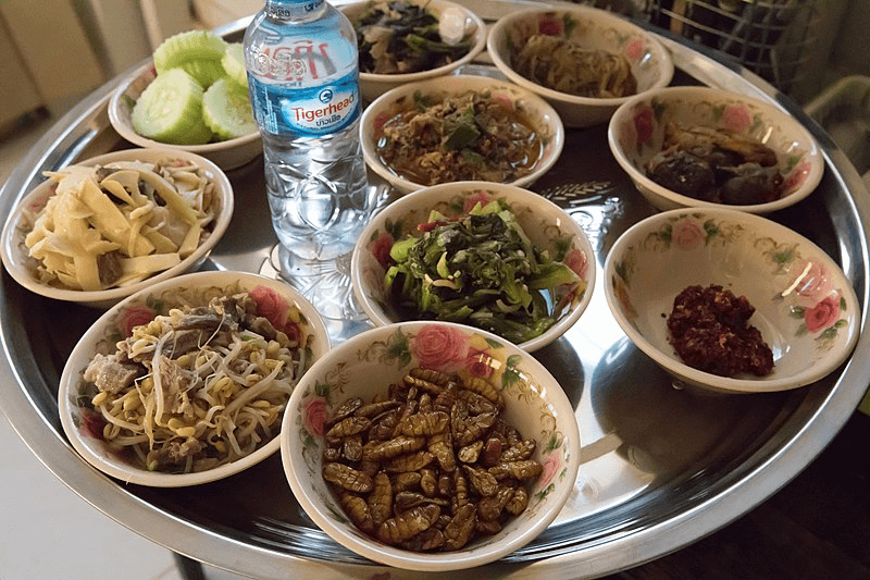 insects as food in laos Edible insects prepared as they are eaten in Laos. Credit: Basile Morin via CC-BY-SA-4.0