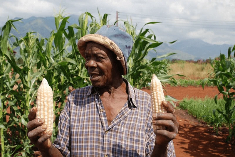african farmer pe xl sux ivf qpgir o mipjk buolepwapghd african farmer pe xl sux ivf qpgir o mipjk buolepwapghd