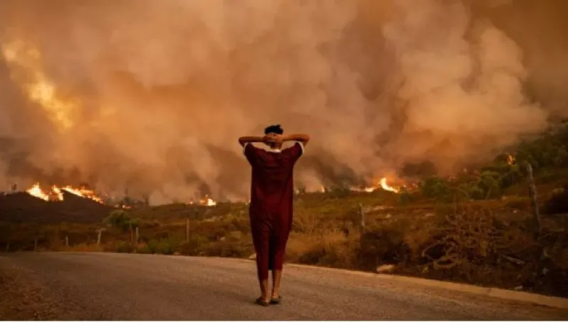 A Moroccan wildfire. Climate change is resulting in heat waves which in turn can cause increased wildfires. Credit: Fadel Senna via Getty Images