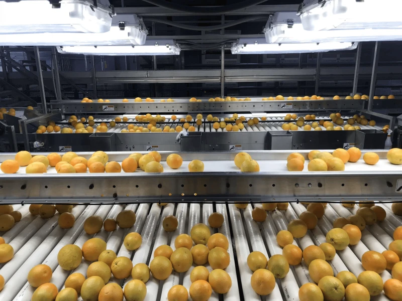 postharvest-blog-compressed Credit: Fruit Growers Supply