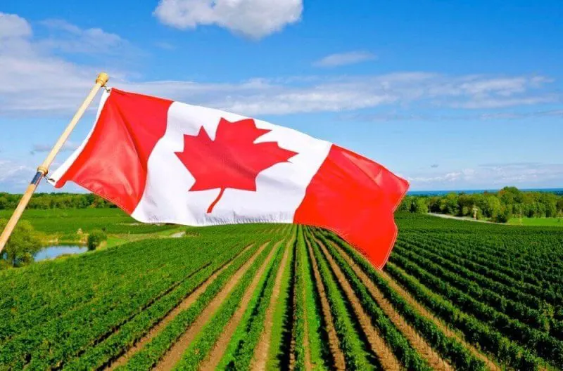 Credit: ThinkStock