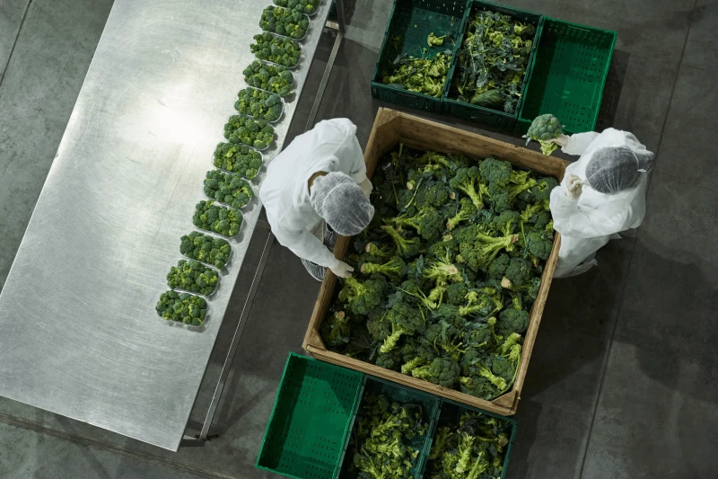 Credit: Produce Inspection Training Program