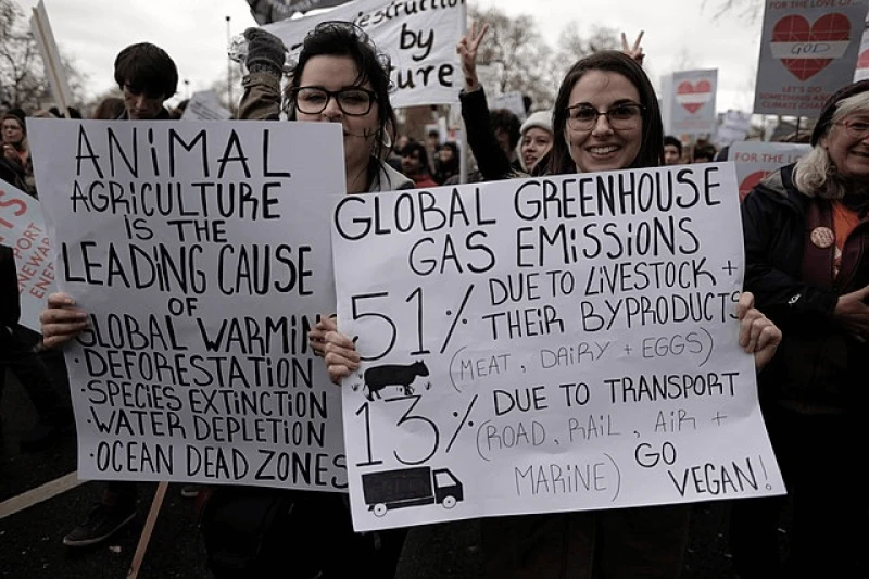 Credit: Alisdare Hickson via CC-BY-SA-2.0