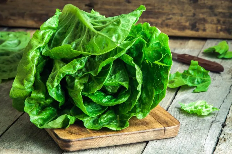ripe organic green salad Romano ripe organic green salad Romano on a cutting board