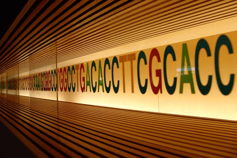 dna sec png cc miki