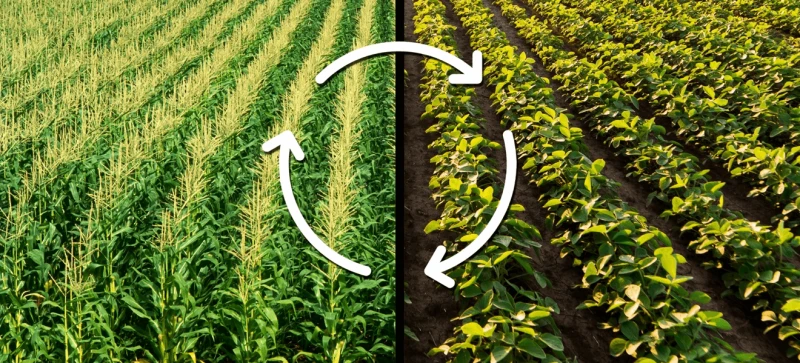 Credit: US Farmers and Ranchers In Action