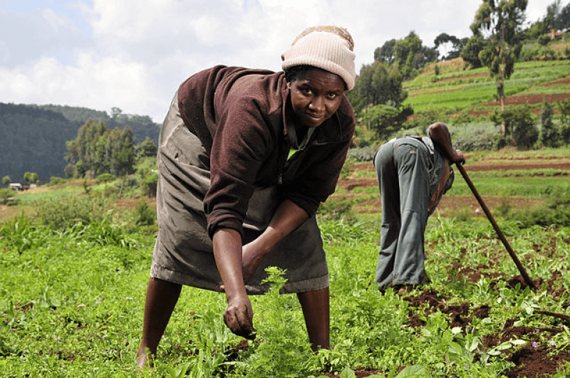 Credit: 2DU Kenya4 and CIAT via CC-BY-SA-2.0