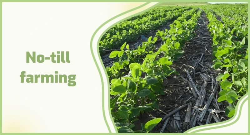 no till farming min no till farming min
