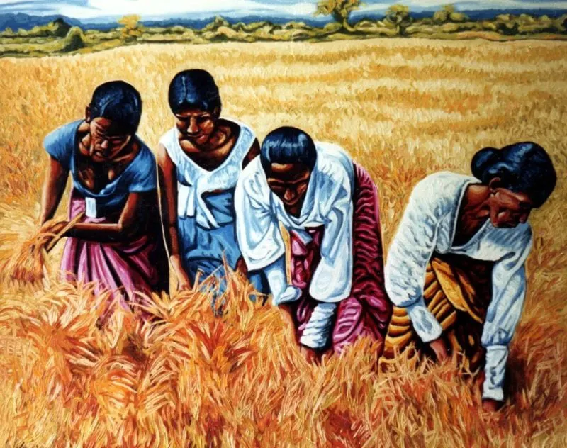 Agricultural productivity in export crops has dropped by 20%. While export values of tea and rubber have increased, volumes have plummeted by 20% and 30% respectively. Had we been able to maintain production at pre-fertiliser-ban levels, we estimate additional export earnings of $ 240 million from plantation-related exports. Credit: Dan Civa