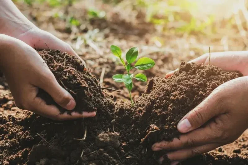 hands-in-soil.jpg